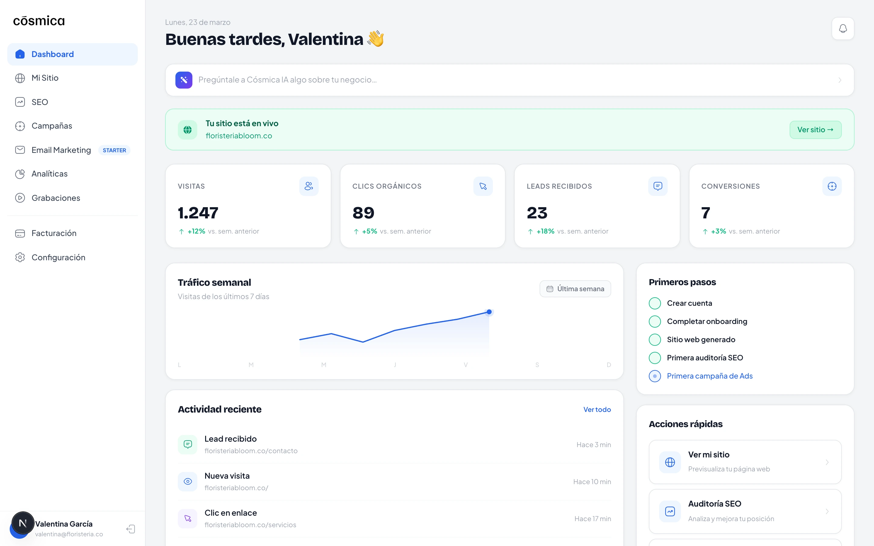Dashboard de Cósmica Web — panel de control con métricas, SEO y campañas